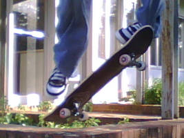 Me - Ollie Off Of A Planter