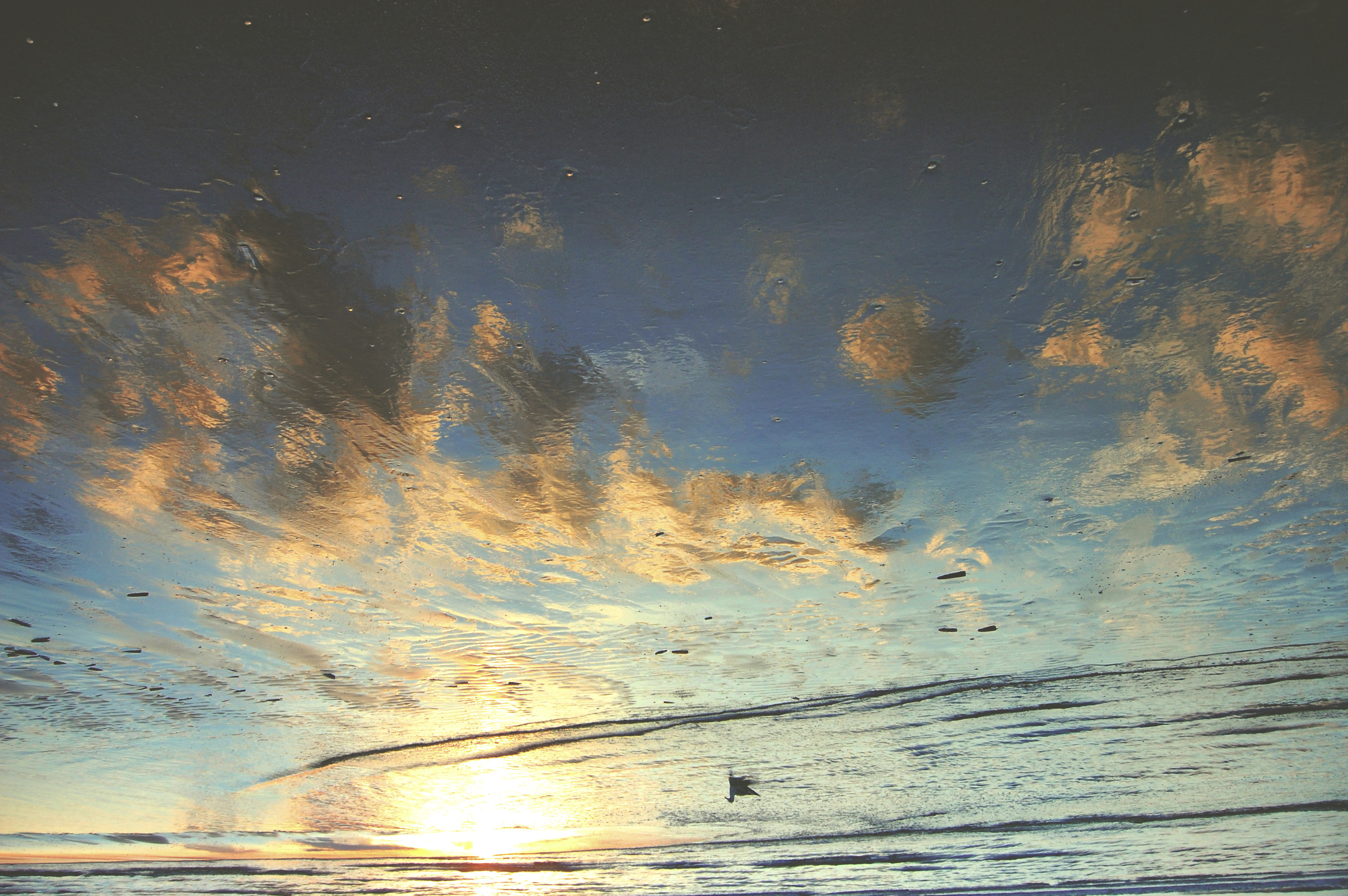 tHE sEA/sUN