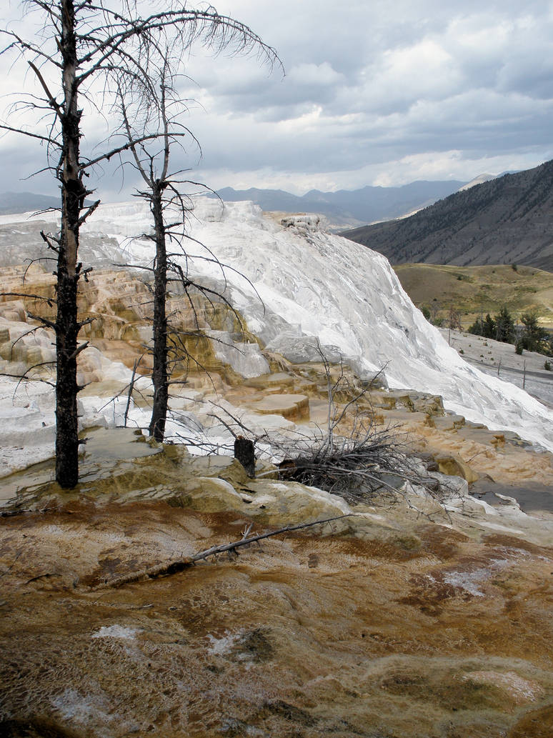 MammothLTP8210079 by skwonk-stock
