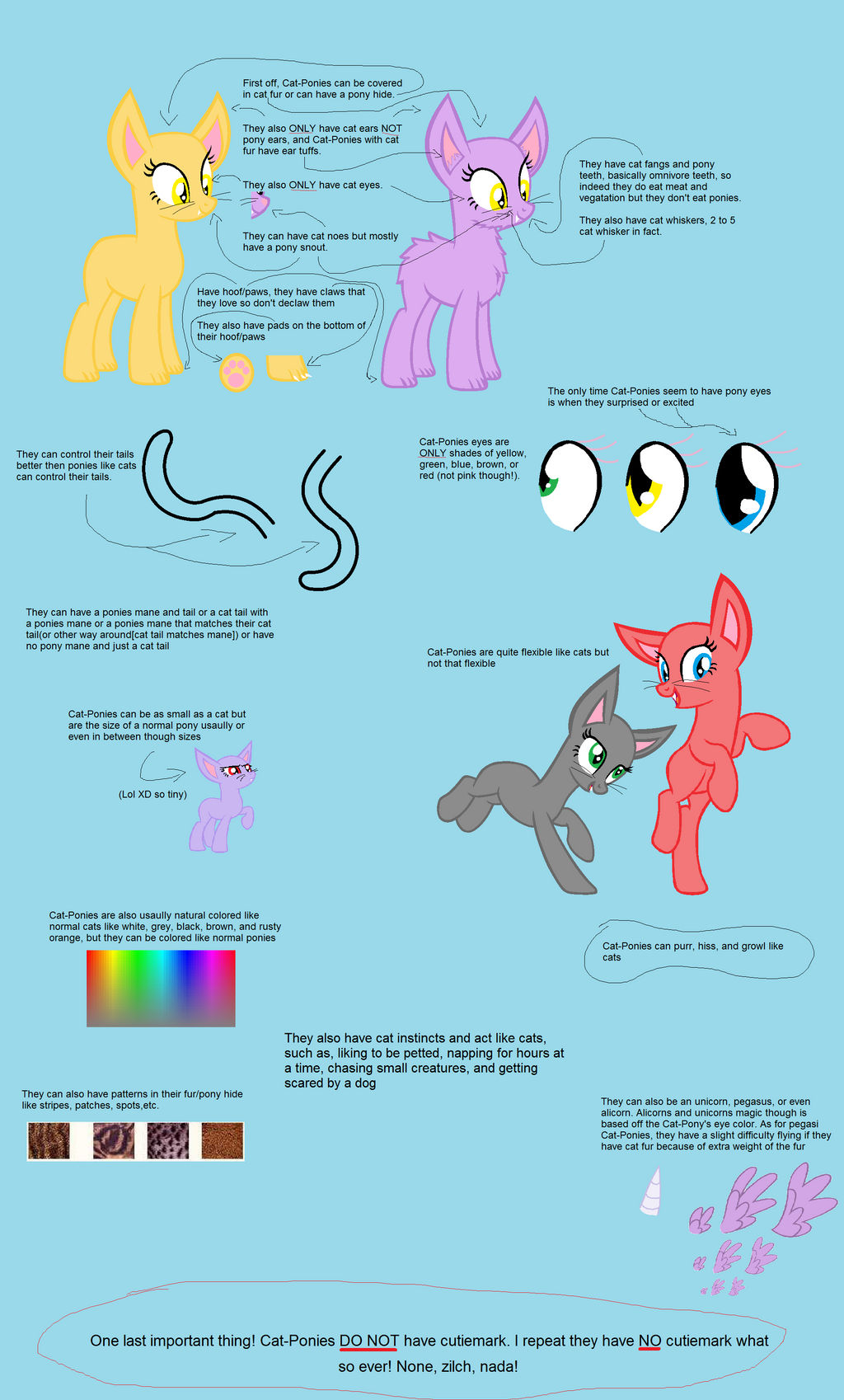Cat-Pony Reference Sheet! (read it!)