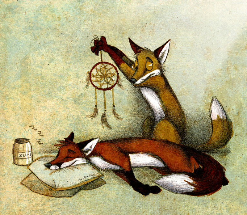 Dreamcatching By Culpeo Fox-d47wge3