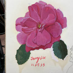 Gouache painting time-laps: Rose by 7749