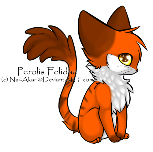 Tiger Perolis adoptable -5 points- CLOSED