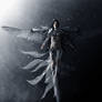 Touched for the light