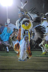 pow wow 2010 older dancer