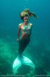 Hannah underwater in Cebu by HannahMermaid