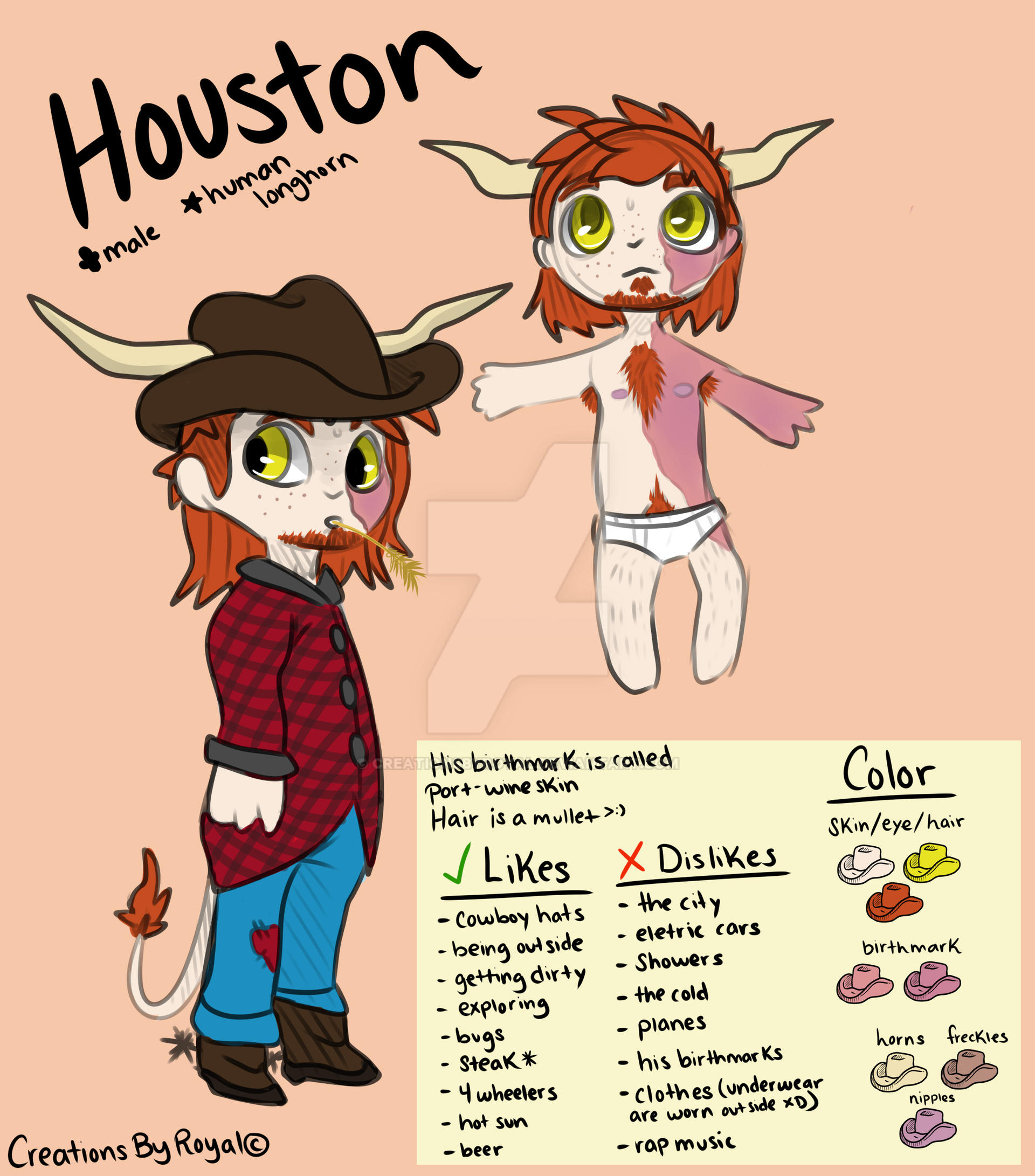 Houston Ref concept