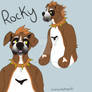 Rocky Concept