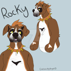 Rocky Concept