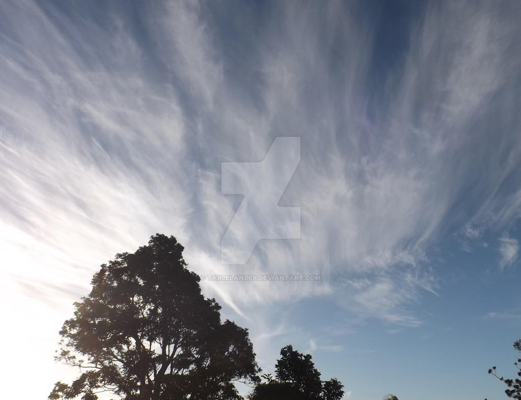 Whispy Clouds