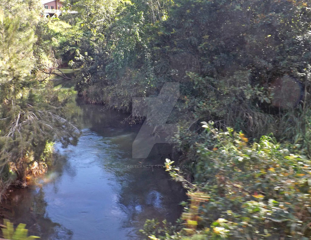 Upper Johnstone River