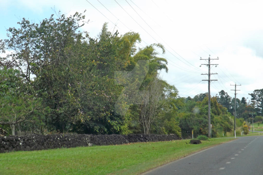 Quincan Rock Wall