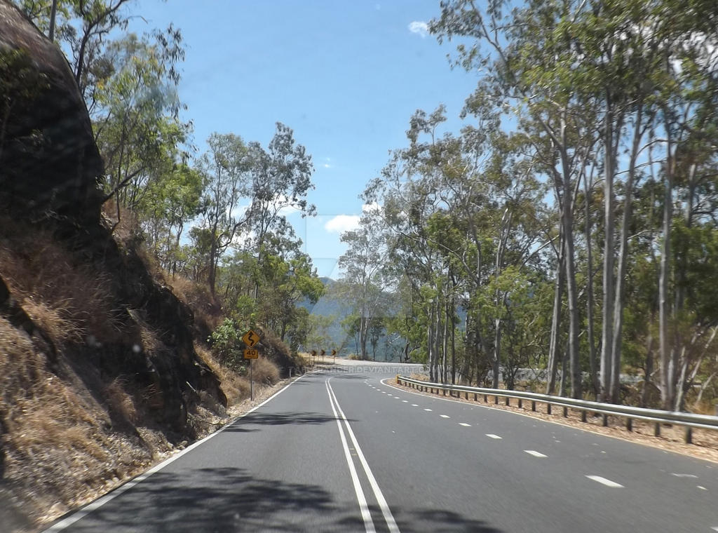 Bluegum Passing Lane