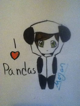 Panda Love