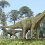 Camarasaurus