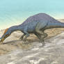 Irritator challengeri