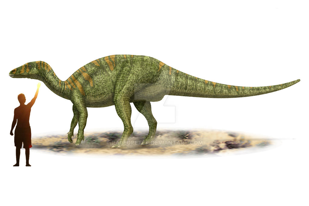 Camptosaurus dispar