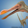Ornithocheirus simus
