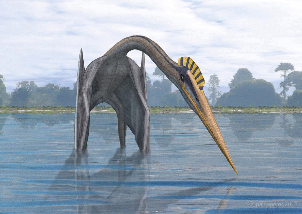 Hatzegopteryx thambema