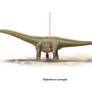 Diplodocus carnegiei