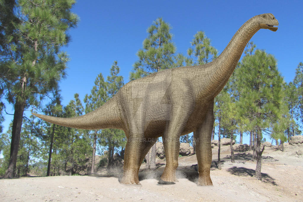 Lourinhasaurus