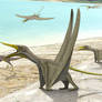 Rhamphorhynchus + Compsognathus