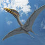Hatzegopteryx thambema 5