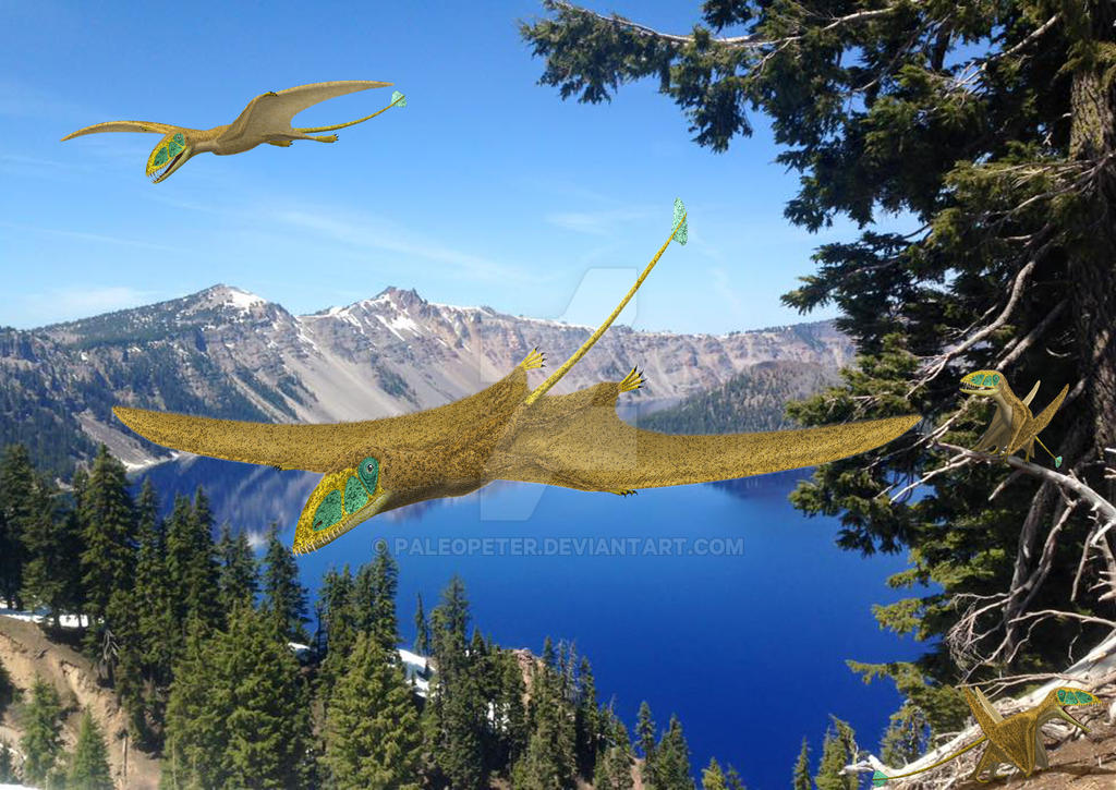 Dimorphodon Mountain