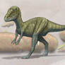 Allosaurus hatchling