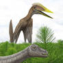 Hatzegopteryx