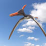 Ludodactylus sibbicki.
