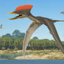 Germanodactylus cristatus flight