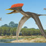 Germanodactylus cristatus flight