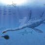 Plesiosaurus dolichodeirus