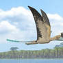 Harpactognathus gentryii