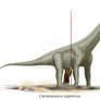 Camarasaurus supremus scale