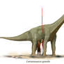 Camarasaurus grandis scale