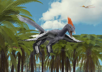 Anchiornis