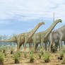 Camarasaurus x 3