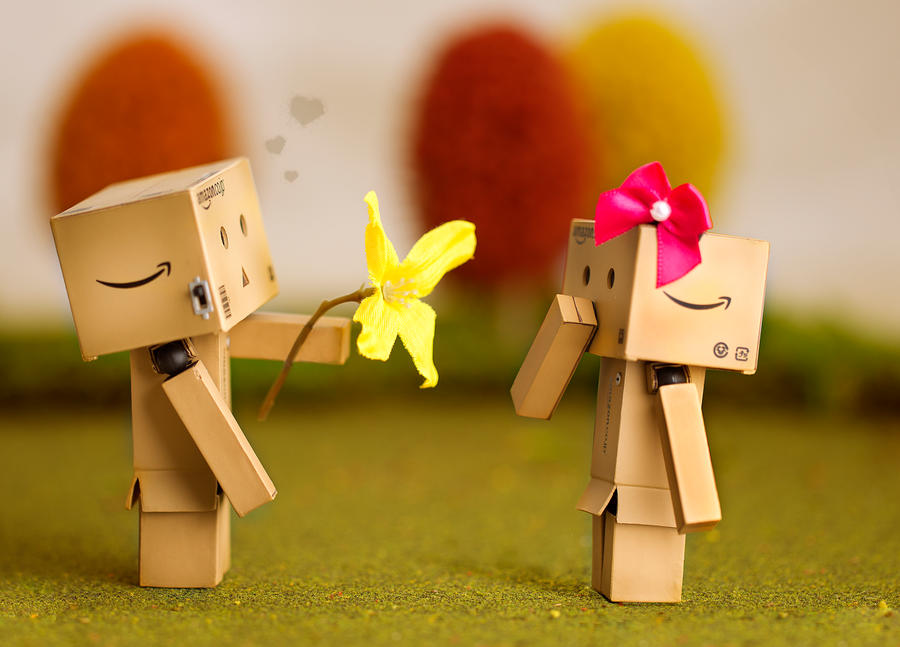 Danbo's First Love