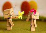 Danbo's First Love by BryPhotography