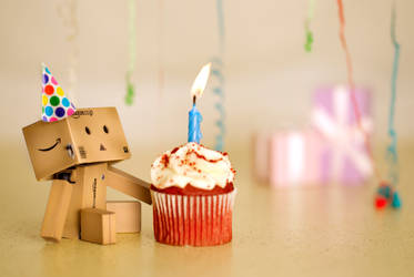 Danbo's Birthday by BryPhotography