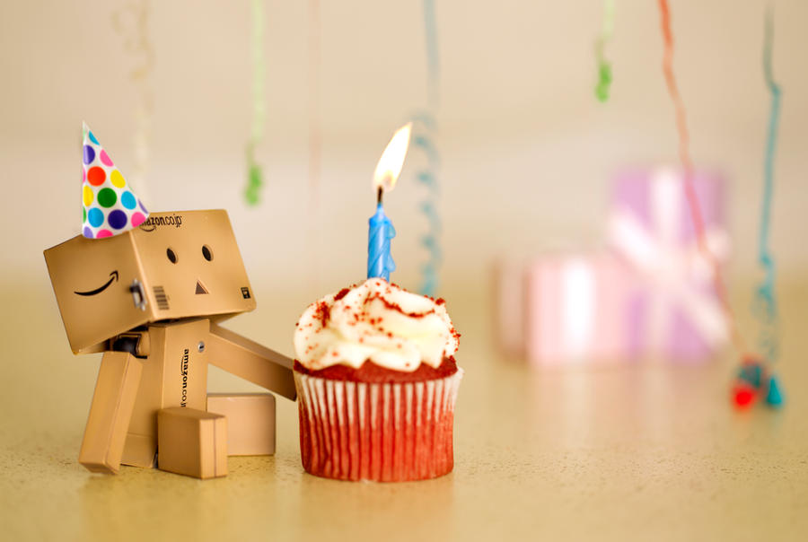 Danbo's Birthday by BryPhotography