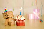 Danbo's Birthday by BryPhotography