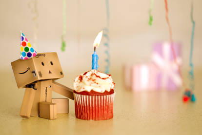 Danbo's Birthday