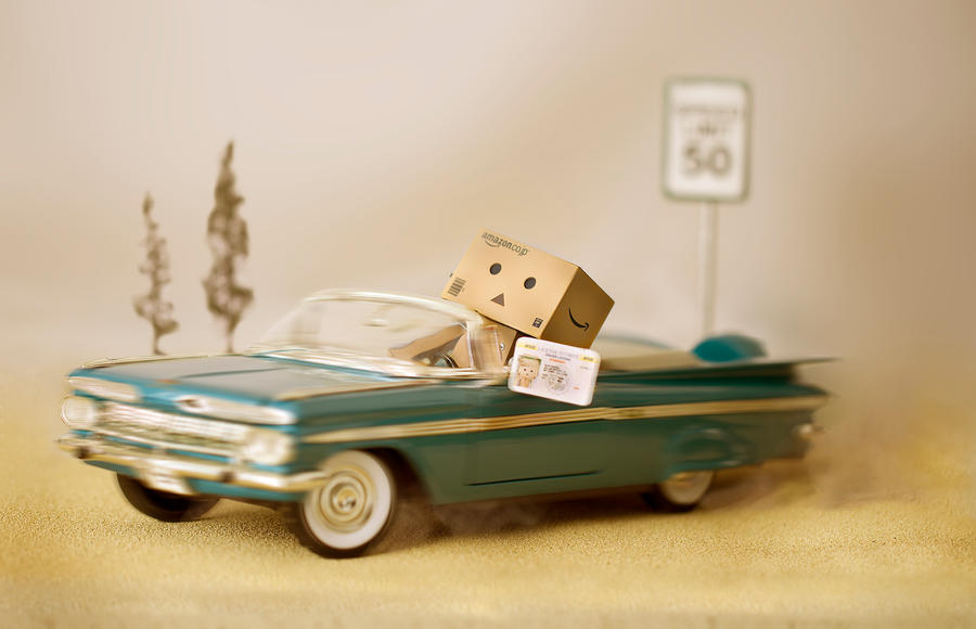 Danbo's License by BryPhotography