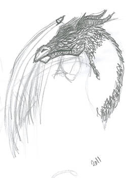 Dragon Sketch