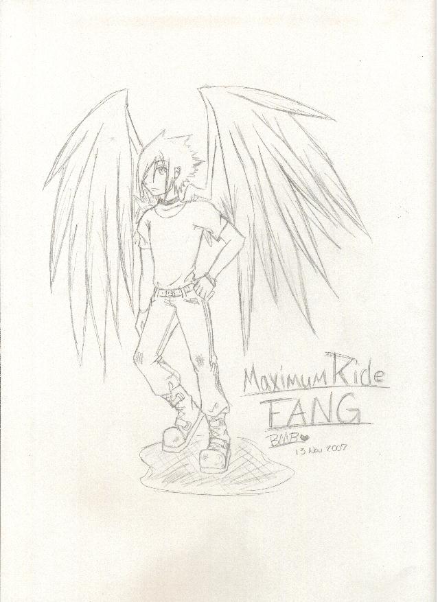 Maximum Ride -Fang