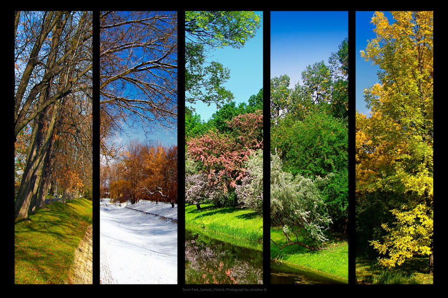 Четыре вид. Зима,Весна,лето,осень. Лес в разные времена года. Поры года. Пейзажи всех времен года.
