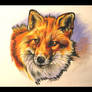fox -- present